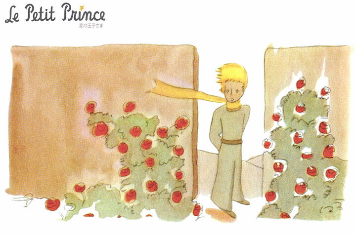 絵画 絵本フレーム 星の王子さま 子供部屋 おしゃれ 額入り スマホ用待ち受け画像 プレゼント アートフレーム インテリア 壁掛け ジクレー版画 金ぱく加工 送料無料 ナチュラルフレーム 4枚コンプリートセット Sサイズ 無料配布中 テグジュペリ サン 立てかけ 額装込