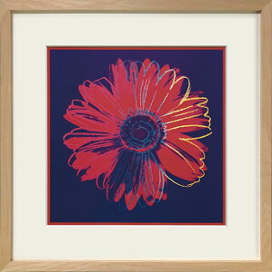 �G�� ���� �A���f�B�E�E�H�[�z�� Daisy, c.1982 (�f�C�W�[) �� �� �C���e���A ���� �v���[���g ���� L ������� �Ǌ|�� �G