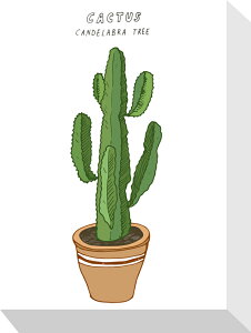 yI|Cg100obNzG z[vc ƒpA ~j pl CACTUS JN^X T{e v[g  A[g  Ǌ| G