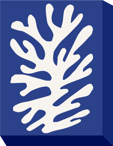 yX[p[SALE10OFFzG AE}eBX ~j pl v[g  A[g  Ǌ| G