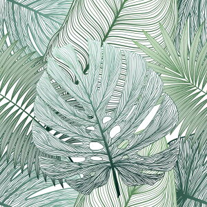 yI|Cg100obNzyGzA[gpl Seamless pattern tropical leaf palm/Ǌ|  LoX rO  CeA v[g Mtg A t 썑  5LTCY 