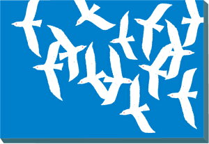 yGzA[gpl Xd Tq Stroll/Ǌ|  LoX rO  CeA v[g Mtg  3LTCY  Ǌ| G