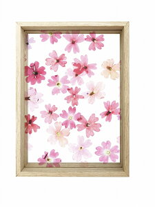 NAt[ t[gt[I i` A4(Float Frame Natural)/z G G Ǌ| A[g rO  gC CeA 킢 Ǐ ₵ v[g Mtg A[gpl |