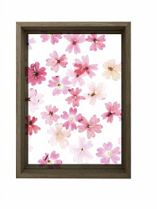 NAt[ t[gt[I uE A4(Float Frame Brown)/z G G Ǌ| A[g rO  gC CeA 킢 Ǐ ₵ v[g Mtg A[gpl |X