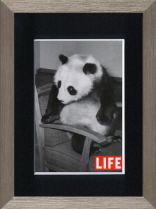 yI|Cg100obNzA[gt[ 䂤pPbg LIFE Chi-Chi Sitting in Chiar(Ct `` VbeBCO C `FA[iCXɍ``j)/z 킢GEǊ|A[g͂