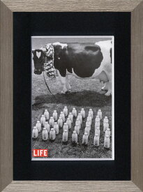アートフレーム ゆうパケット LIFE A Cow with Her Milk(ライフ ア カウ ウィズ ハー ミルク（牛とミルク）)/額装込 風景画 絵画 アート リビング 玄関 トイレ インテリア かわいい 壁飾り 癒やし プレゼント ギフト アートパネル ポスター Sサイズ おしゃれ 壁掛け 絵