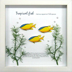 ANAt[ 䂤pPbg Aqua Frame Blueline demoiselle(u[C fCZ)/CeA Ǌ|   z G |X^[ A[g ۔h M r[` A[gpl rO 