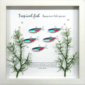 ANAt[ 䂤pPbg Aqua Frame Neon Tetra(lIeg)/CeA Ǌ| z z i G |X^[ A[g A[gpl rO  v[g _ A[gt[ 