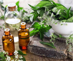 LoXA[g v`LoXA[g i` 300x250mm(Petit Canvas Art)/z G A[g rO  gC CeA 킢 Ǐ ₵ v[g Mtg A[gpl |