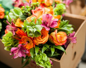 LoXA[g v`LoXA[g t[{bNX 500x400mm(Petit Canvas Art)/z G A[g rO  gC CeA 킢 Ǐ ₵ v[g Mtg A[gpl