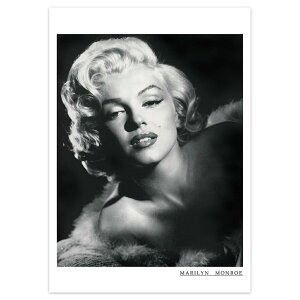 yI|Cg100obNz|X^[ Be[WVl}|X^[ }[ A2/zȂ G A[g rO  gC CeA 킢 Ǐ ₵ v[g Mtg A