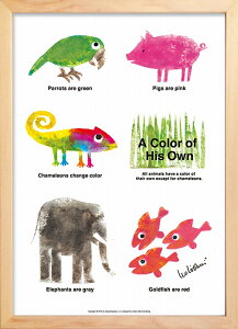 A[gt[ IEIj Ԃ񂾂̂ Aj} (Leo Lionni A Color of His Own Animals)/z G A[g rO  gC CeA 킢 Ǐ ₵ v[g Mtg A