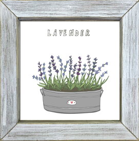 楽天市場 ラベンダー 絵の通販