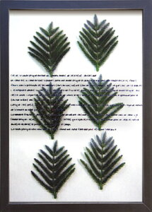 n[ut[ 䂤pPbg ~[ h Gu n[u8/z G G Ǌ| A[g rO  gC CeA 킢 Ǐ ₵ v[g Mtg A[gpl |X^[ 