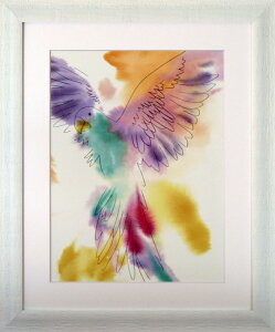 G NXeB[EwO Paradise Parrot-Soar CeA Jt  rO  L Ǐ zt A[g Mtg v[g ɏ A[gt[ ItBX f[ c