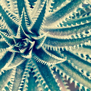 G v`LoXA[g E[c@300x300mm A[gpl CeA rO  L  Ǐ A Mtg v[g LoXpl ǂɏ MTCY  Ǌ| 