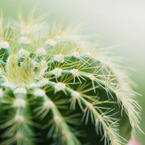 G v`LoXA[g JN^X@300x300mm A[gpl CeA rO  L  Ǐ A Mtg v[g LoXpl ǂɏ MTCY  Ǌ| G