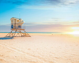 G v`LoXA[g neBgr[`@500x400mm A[gpl CeA rO  L  Ǐ Mtg v[g LoXpl ǂɏ LTCY  Ǌ|