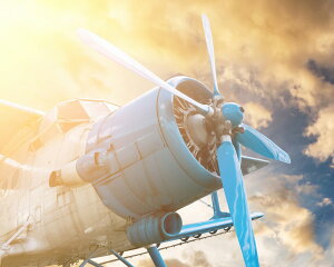 G v`LoXA[g [ĂƔs@@500x400mm A[gpl CeA rO  L  Ǐ Mtg v[g LoXpl ǂɏ LTCY  Ǌ| G