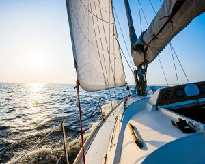 G v`LoXA[g oq锒bg@500x400mm A[gpl CeA rO  L  Ǐ Mtg v[g LoXpl ǂɏ LTCY  Ǌ| 