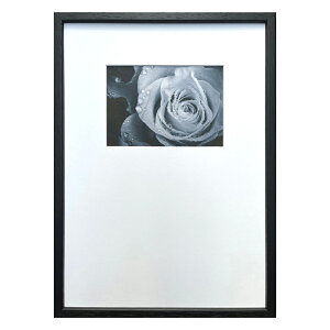 yI|Cg100obNzG Photography art Rose(o) CeA Ǐ ʐ^ [Y  ʐ^ zt mN A[g Vv Mtg  rO  v[g Ǌ|  X