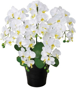 A[gt[  NC[ӒW/G}ktA^Cvl/G} ϗtA Ex[^ tFCNO[  Ӓ JXj JƏj aj  A[gt[   5