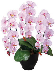 A[gt[  ӒZ[XL/G}ktA^Cvl/G} ϗtA Ex[^ tFCNO[  Ӓ JXj JƏj aj  A[gt[   4