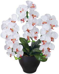 A[gt[  ӒZ[XW/AB/G}ktA^Cvl/G} ϗtA Ex[^ tFCNO[  Ӓ JXj JƏj aj  A[gt[  