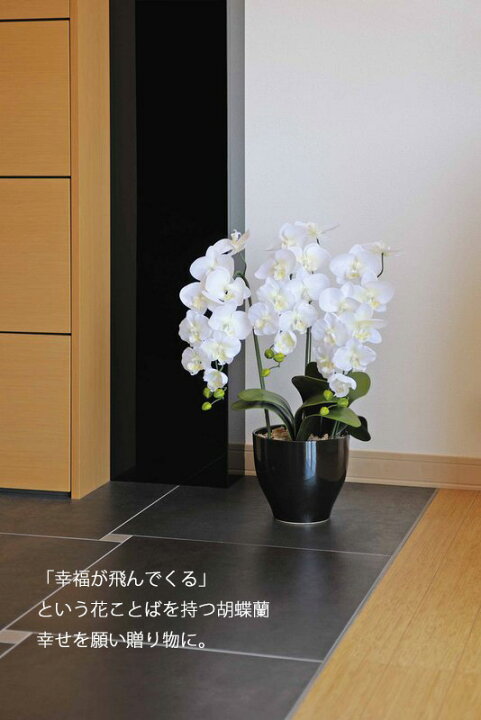 楽天市場】アートフラワー 造花 エレガント胡蝶蘭5本立W/光触媒 