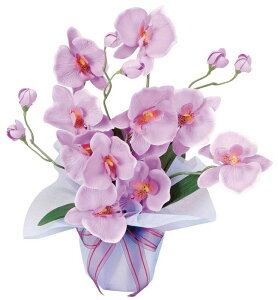 A[gt[  zbgt@m/G}k~j^Cvl̓/G} ϗtA Ex[^ tFCNO[  Ӓ JXj JƏj aj  A[gt[ 