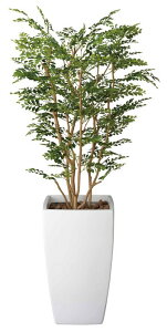 G}ϗtA A[gS[fc[1.8ktA^Cv(nCTCY)llCi/G} ϗtA Ex[^ tFCNO[  Ӓ JXj JƏj aj  A[gt