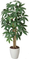 光触媒観葉植物 パキラ1.0〔フロアタイプ(ミドルサイズ)〕人気作品/光触媒 観葉植物 ウンベラータ フェイ…