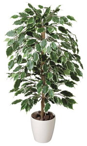 G}ϗtA S[ftBJX1.0ktA^Cv(~hTCY)l/G} ϗtA Ex[^ tFCNO[  Ӓ JXj JƏj aj  A[gt[ 