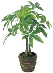 G}ϗtA pL|bgke[u^CvllCi/G} ϗtA Ex[^ tFCNO[  Ӓ JXj JƏj aj  A[gt[   LTC