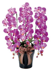 A[gt[  CӒL/G}ktA^Cvl/G} ϗtA Ex[^ tFCNO[  Ӓ JXj JƏj aj  A[gt[   5