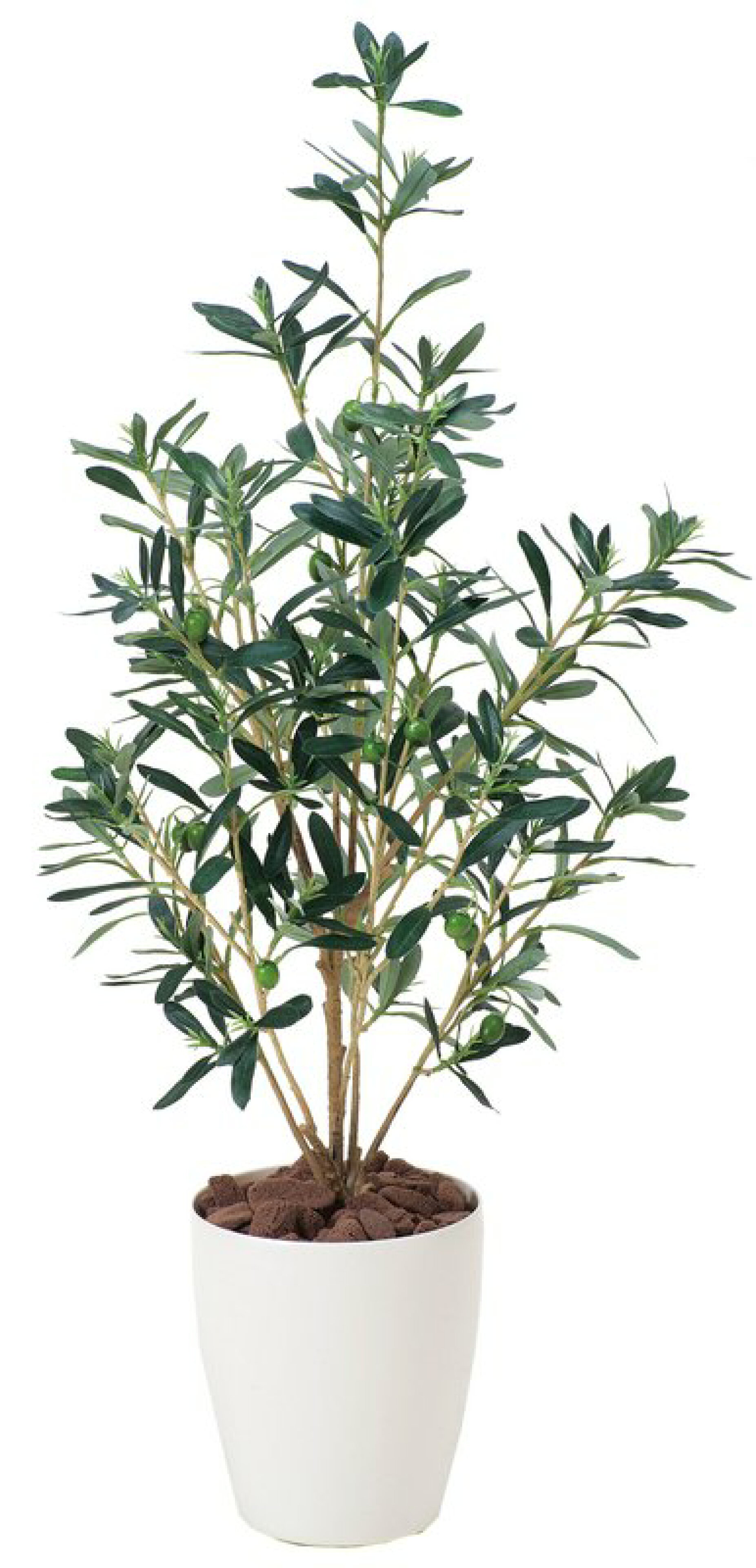光触媒観葉植物 オリーブ90〔フロアタイプ〕