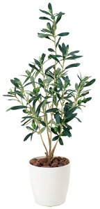 G}ϗtA I[uktA^Cv(~hTCY)l/G} ϗtA Ex[^ tFCNO[  Ӓ JXj JƏj aj  A[gt[   3LTC