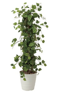 G}ϗtA O[vc[1.5ktA^Cv(nCTCY)l/G} ϗtA Ex[^ tFCNO[  Ӓ JXj JƏj aj  A[gt[  