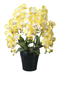 A[gt[  NC[ӒY/G}ktA^Cvl/G} ϗtA Ex[^ tFCNO[  Ӓ JXj JƏj aj  A[gt[   5