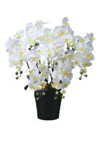 A[gt[  LOӒ7{W/G}ktA^Cvl/G} ϗtA Ex[^ tFCNO[  Ӓ JXj JƏj aj  A[gt[  