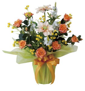 A[gt[  TZbg[Y/G}ke[u^Cvl/G} ϗtA Ex[^ tFCNO[  Ӓ JXj JƏj aj  A[gt[  