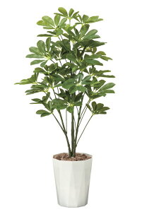 yX[p[SALE10OFFzG}ϗtA VFt90ktA^Cv(~hTCY)l/G} ϗtA Ex[^ tFCNO[  Ӓ JXj JƏj aj  A[gt