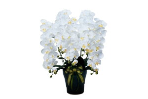 yX[p[SALE10OFFzA[gt[  CӒ5{WktA^CvlMtgŐlC/G} ϗtA Ex[^ tFCNO[  Ӓ JXj JƏj aj 