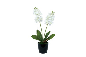 A[gt[  ~jI[LbgWk~j^Cvl/G} ϗtA Ex[^ tFCNO[  Ӓ JXj JƏj aj  A[gt[   STCY