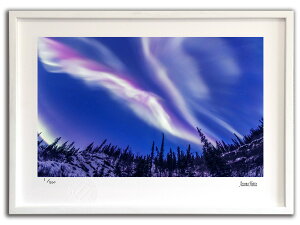 ŉ G I[001 AXJ/CeA z z i G |X^[ A[g A[gpl rO  v[g _ A[gt[   Ǌ| G