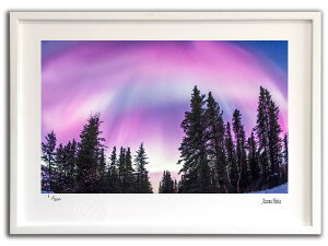 ŉ G sNI[001 AXJ/CeA z z i G |X^[ A[g A[gpl rO  v[g _ A[gt[   Ǌ| G