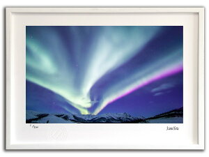 ŉ G I[ƎR001 AXJ/CeA z z i G |X^[ A[g A[gpl rO  v[g _ A[gt[   Ǌ| G