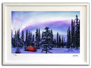 ŉ G I[ƃeg006 AXJ/CeA z z i G |X^[ A[g A[gpl rO  v[g _ A[gt[   Ǌ| G