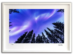 yX[p[SALE50OFFzŉ G I[Ɩ؁X002 AXJ/CeA z z i G |X^[ A[g A[gpl rO  v[g _ A[gt[  