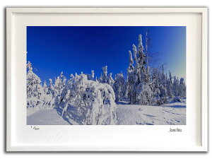 ŉ G kɌ̕i001 AXJ/CeA z z i G |X^[ A[g A[gpl rO  v[g _ A[gt[   Ǌ| G